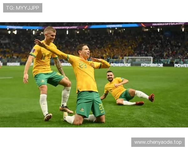 古德温计划未来几年投身青训工作 立志以队长身份带领阿德莱德捧杯